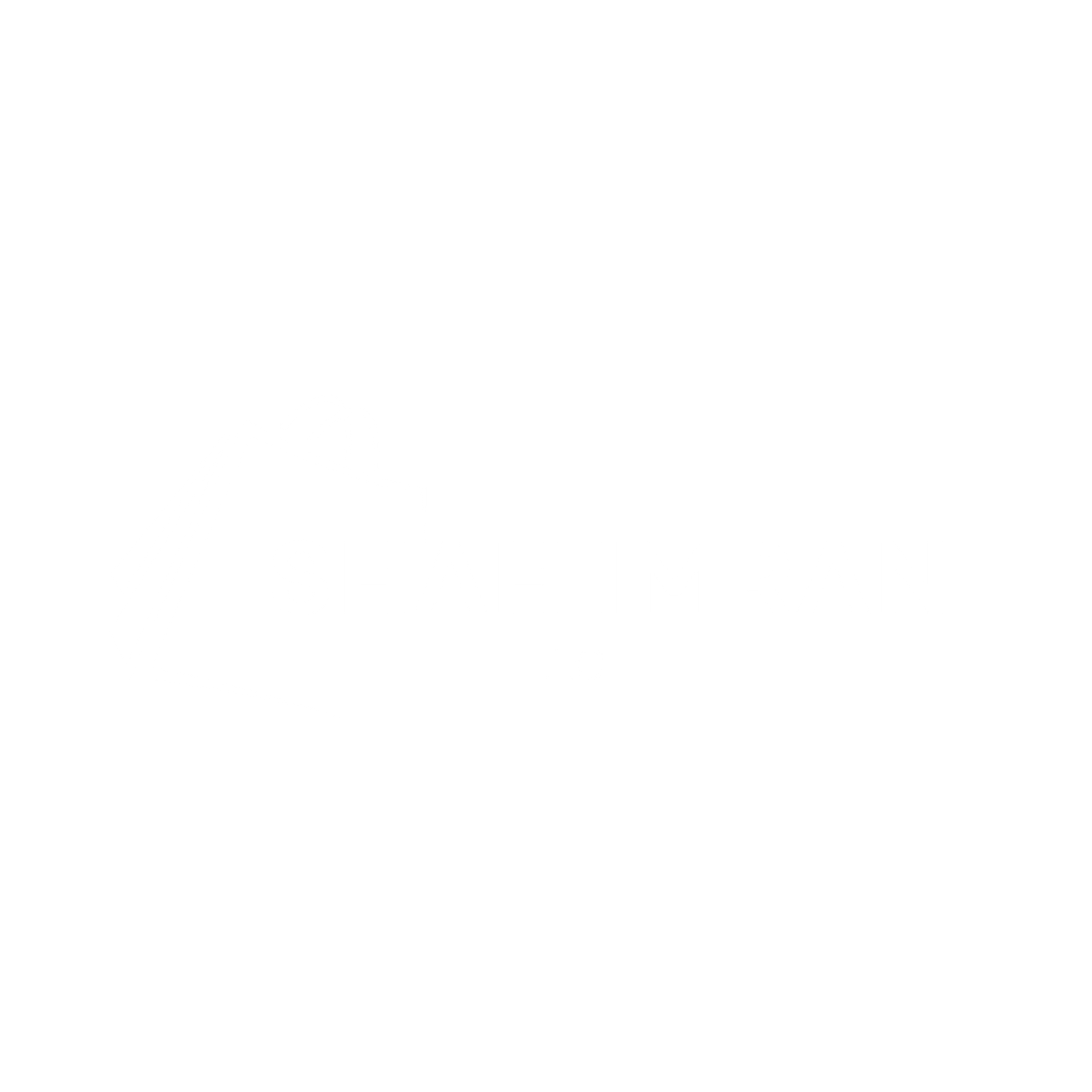 SHAH IMRAN LLC 